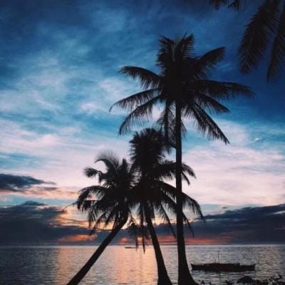 خان سعید avatar