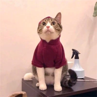 سمیع اللہ avatar